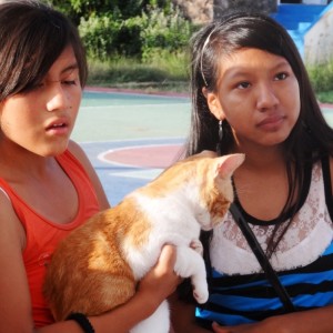 Cats come to our humane education events too!!!